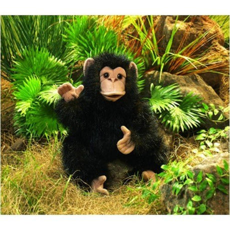 Folkmanis Baby Chimpanzee Hand Puppet (Coming Soon) - Little Whispers