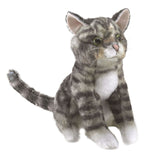 Folkmanis Mini Tabby Cat Finger Puppet (Pre-Order Yours Now) - Little Whispers