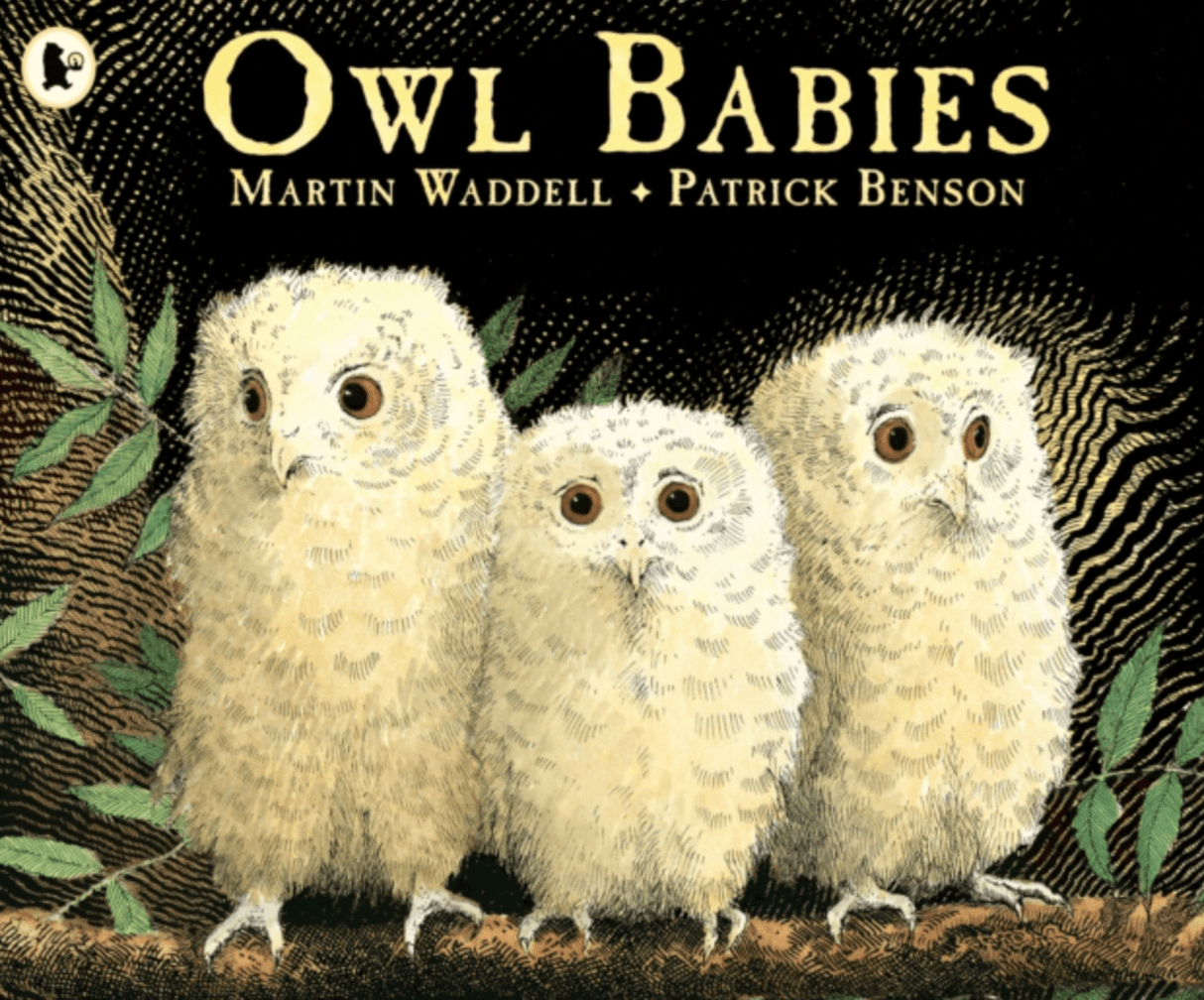 Owl Babies Board Book - Little Whispers