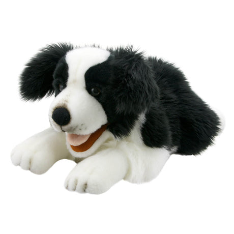 Puppet Company Border Collie Playful Puppy Puppet - Little Whispers