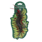 Realistic Centipede Toy - Little Whispers