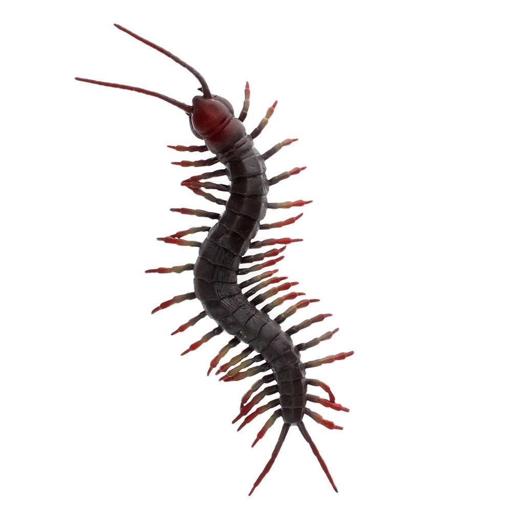 Realistic Centipede Toy - Little Whispers