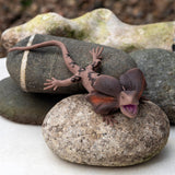 Realistic Frill - Necked Lizard Toy - Little Whispers