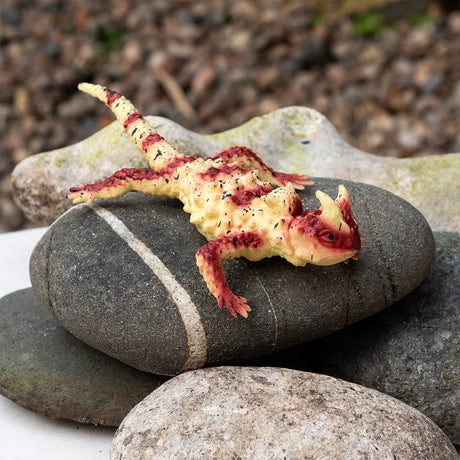 Realistic Horned Lizard Toy - Little Whispers