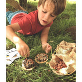 Bird Feeding Pizza Kit - Little Whispers