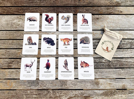 British Wildlife Laminated FlashCards - Little Whispers