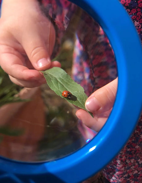 Bugs to Spot Story Sack with Jumbo Magnifying Glass - Little Whispers