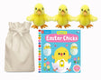 Busy Easter Chicks Story Sack with 3 Wilberry Chicks - Little Whispers