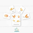 Chicken Life Cycle Flashcards - Little Whispers