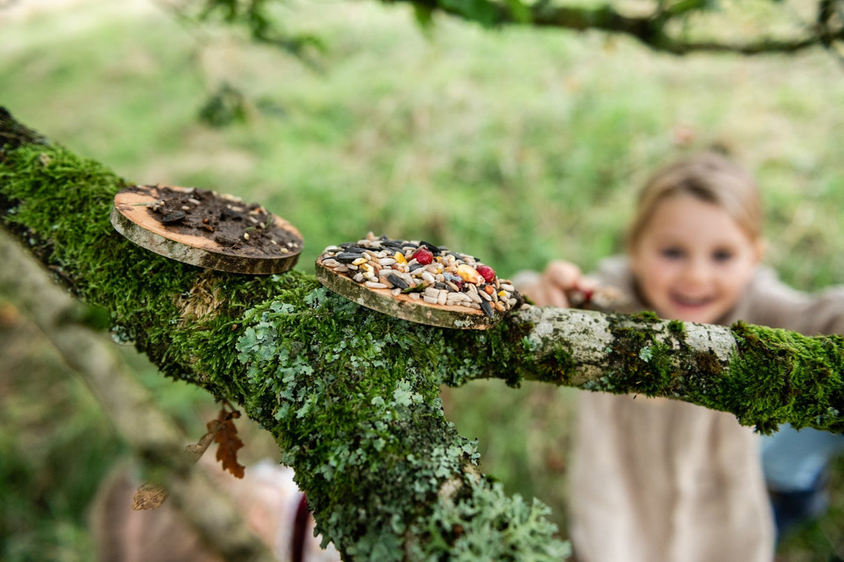 Den Kit Bird Feeding Pizza Kit - Little Whispers