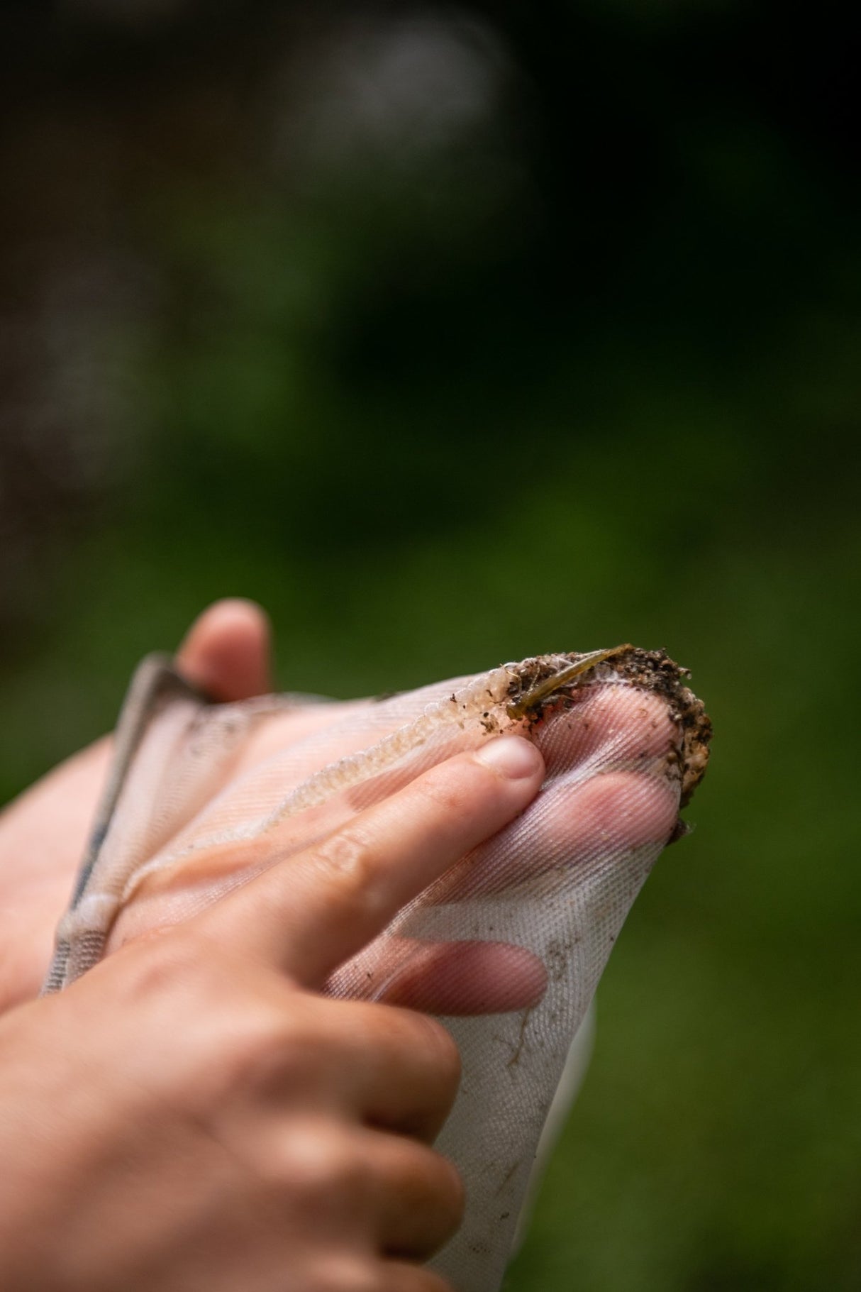 Den Kit Entomology Kit - Little Whispers