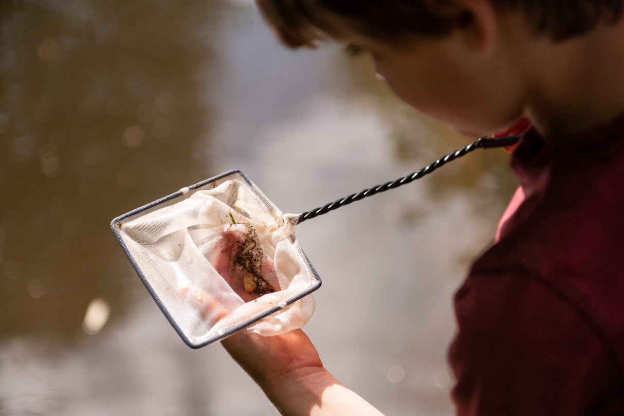 Den Kit Entomology Kit - Little Whispers