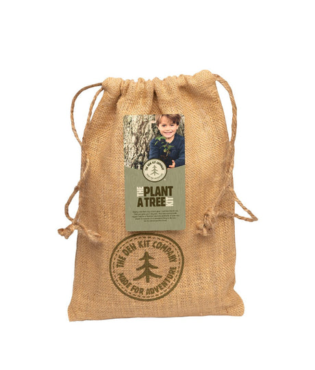 Den Kit Plant A Tree Kit - Little Whispers