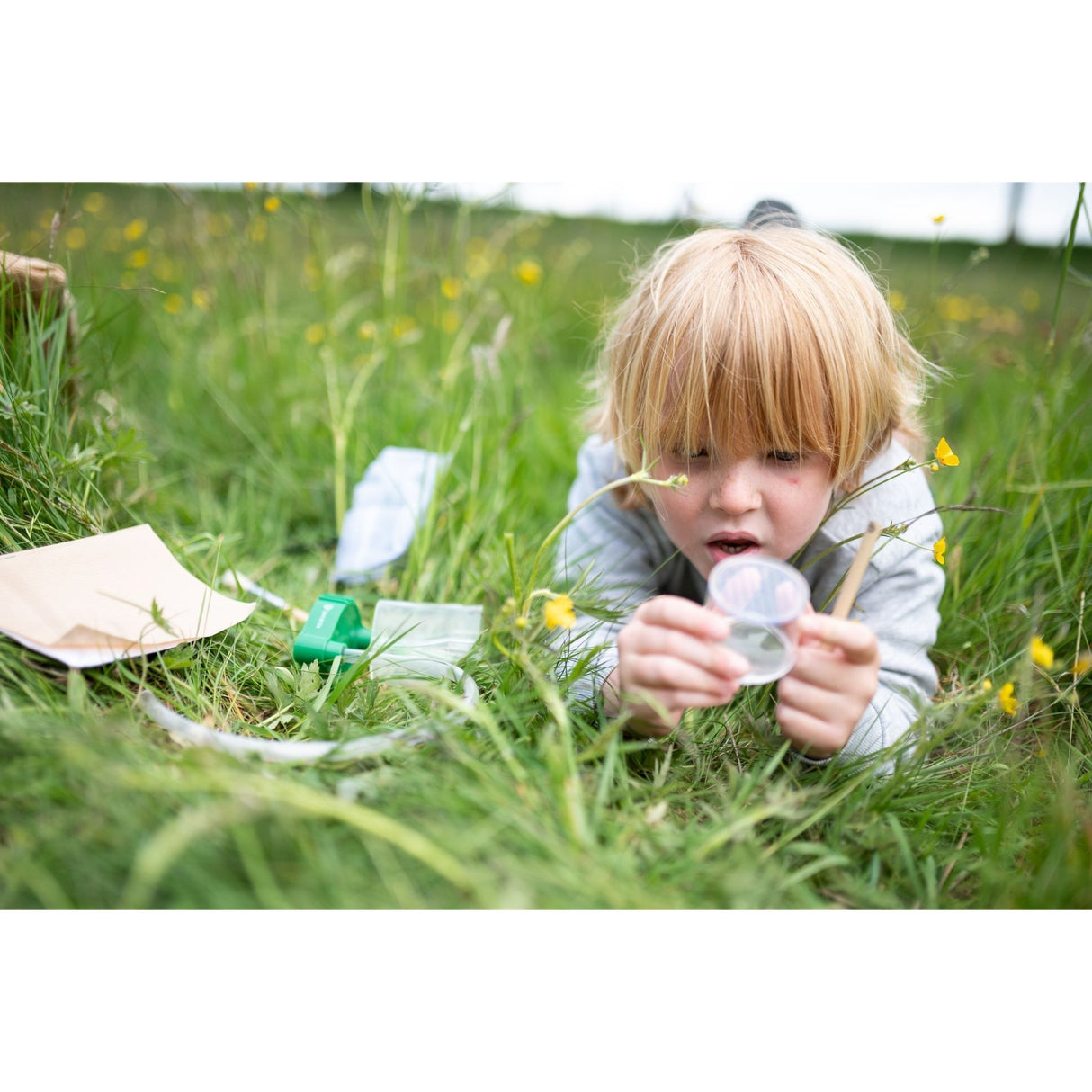 Entomology Kit - Little Whispers