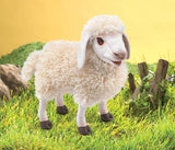 Folkmanis Wooly Sheep Hand Puppet (Pre-Order) - Little Whispers