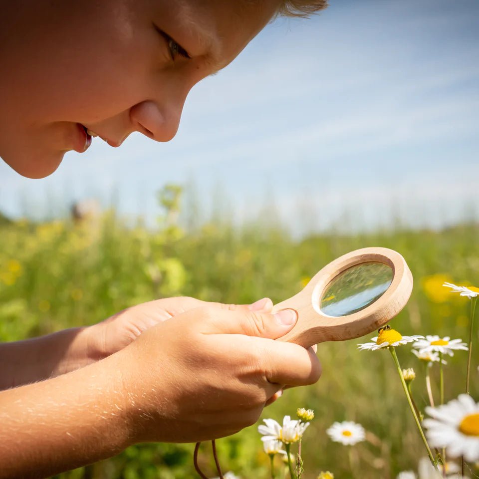 Kikkerland Huckleberry Dual Compact Portable Magnifier - Little Whispers