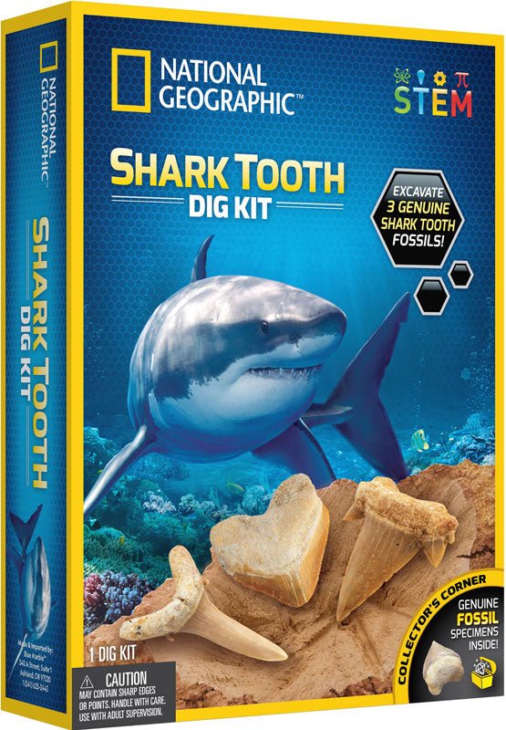 National Geographic Shark Tooth Dig Kit - Little Whispers