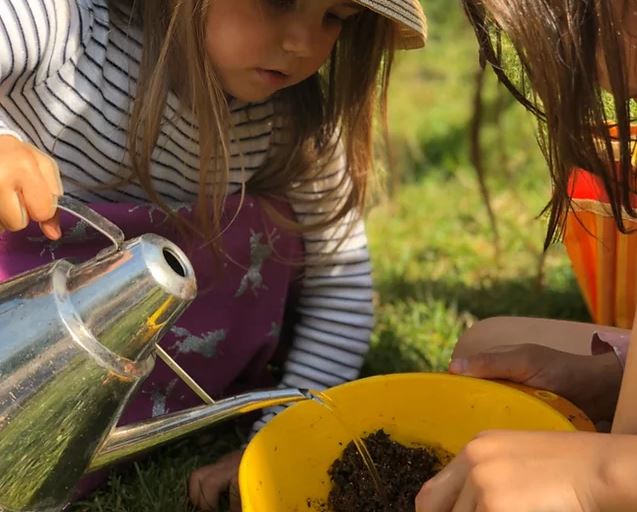 Nature Nurture Seed Bomb Kit - Little Whispers