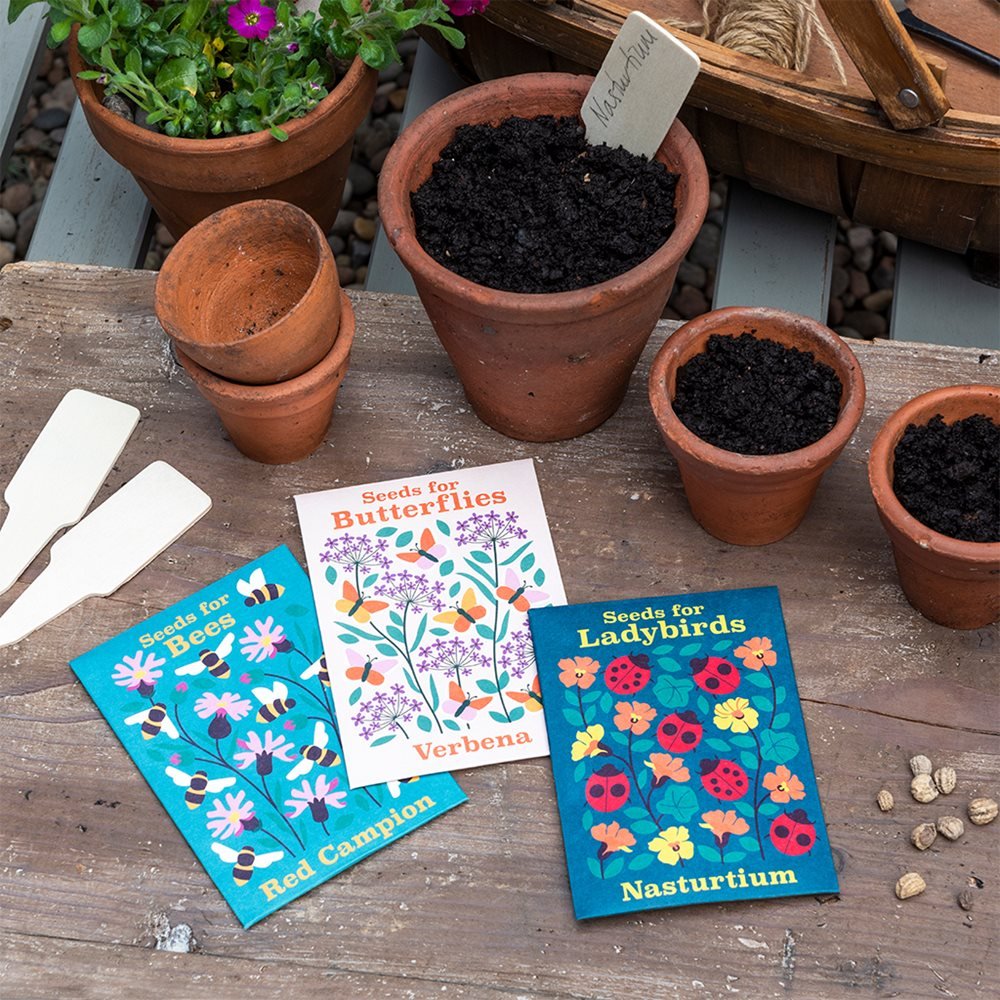 Pack of flower seeds - Nature Collection - Little Whispers