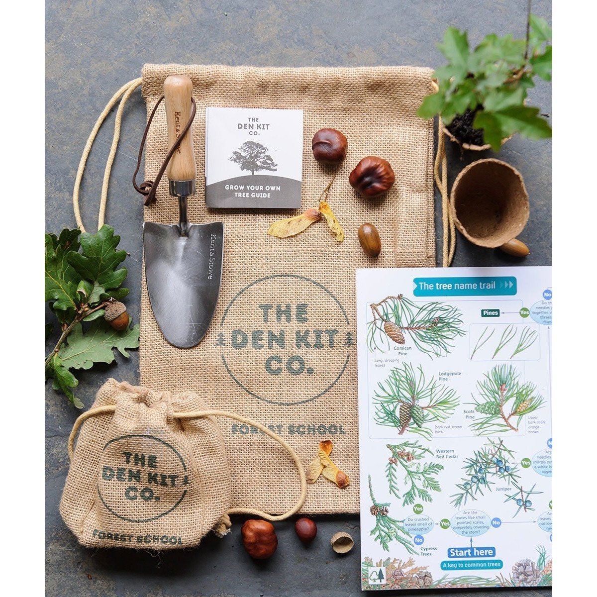 Plant A Tree Kit - Little Whispers