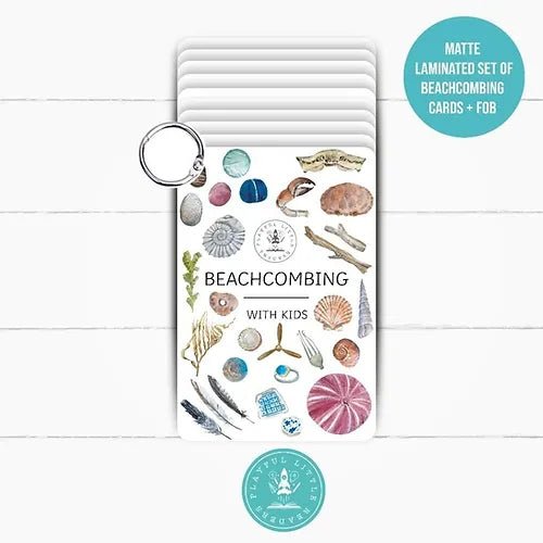 PLR Flash Cards, Beachcombing - Explorer - Little Whispers