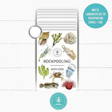 PLR Flash Cards, Rockpooling - Explorer - Little Whispers