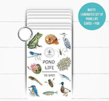 Pond Life Story Sack with PLR Laminated Pond Life Cards - Little Whispers