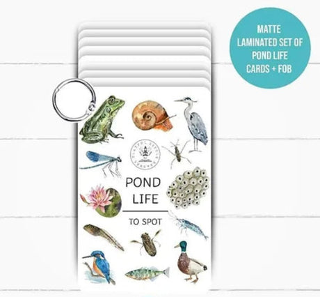 Pond Life Story Sack with PLR Laminated Pond Life Cards - Little Whispers