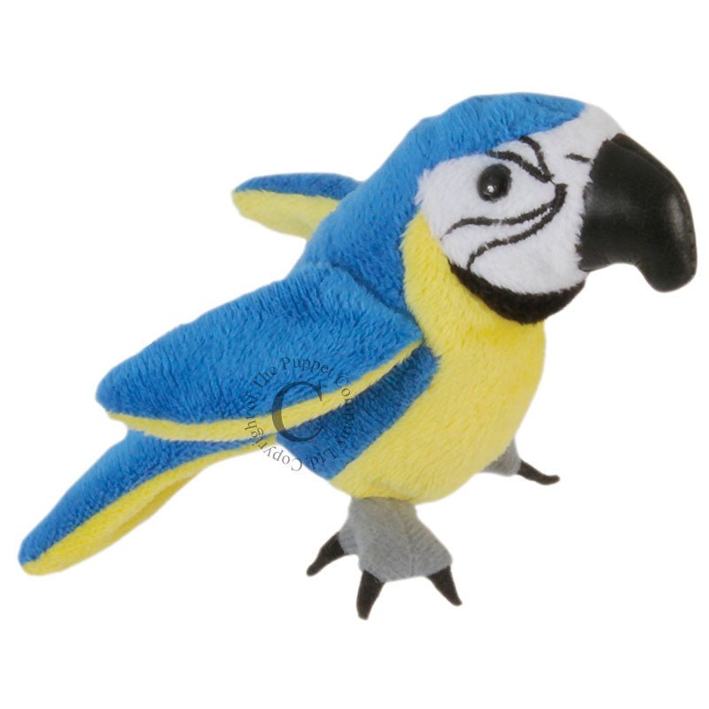 Puppet Company Blue & Gold Macaw Finger Puppet - Little Whispers