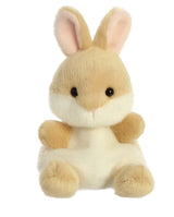 The Sleepy Bunny Story Sack with Palm Pal Bunny - Little Whispers