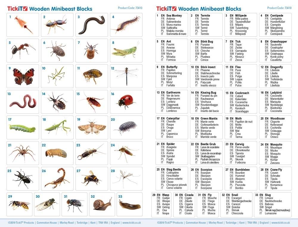 TickiT Individual Mini beast Blocks - Little Whispers