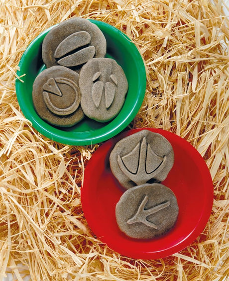 Yellow Door Farmyard Footprint Stones - Little Whispers